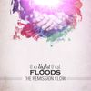 The Remission Flow - The Light That Floods