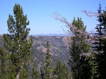 Distant_Mtns_from_Red_Ridge
