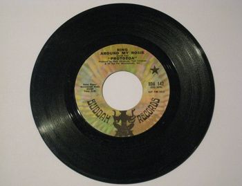 "Ring Around My Rosie" b/w "My Pink Hippopotamus" 45rpm by Protozoa aka The Wooley Thumpers (1969)
