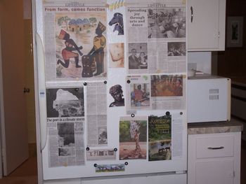 Africa - fridge
