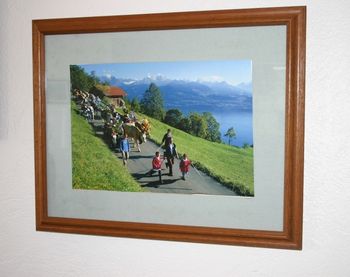 Swiss - picture 10
