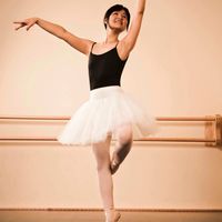 Dream (Mari Iijima 20 page Ballet Photobook PDF Version)