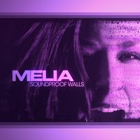 Soundproof Walls by MELIA
