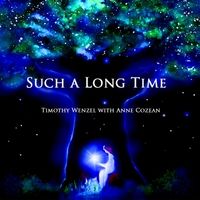 Such a Long Time by Timothy Wenzel & Anne Cozean