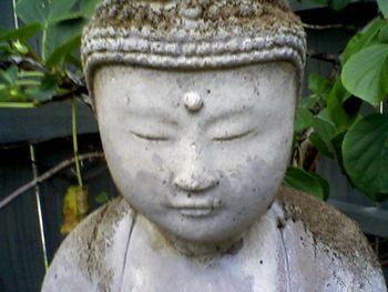 In Buddha's Garden
