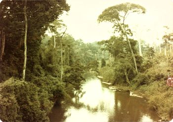 up  river from the Kembe Falls
