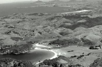 close-up...Matapouri.....Ocean beach in the far distance...1946
