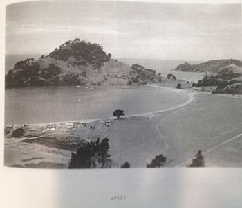 1955 Frogtown (Pataua).... this photo would have special interest to the locals...rivermouth (top right) still there....
