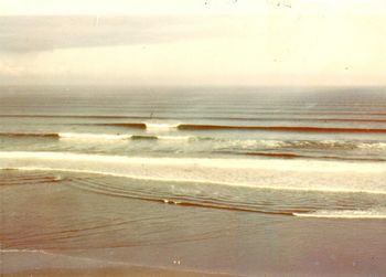 and this was the same day as the last photo..... Baylys Bch 10ft...we got smashed!!.....those 2 little white spots (in the Middle bottom) are 2 people bending over getting toheroa's!!..
