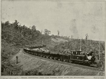 Train track from Kamo to Whangarei... 1899

