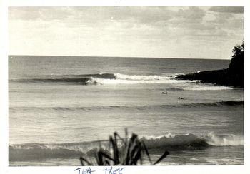 Tea tree was the place we tended to surf the most...beautiful Tea tree Bay 1968 Thats probably either Billy Carson, Dave Boyd, John Black, Billy Player, Mike Cooney, or Mike and Bob tinkler out this day this photo was taken

