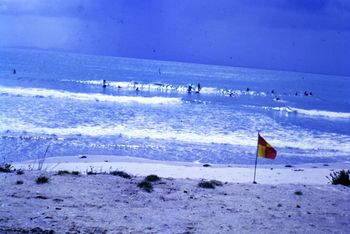 This is a great photo... The lone clubbie flag flutters in the breeze while most of the clubbies are out catching a wave...Ha!...cool Autumn day at Waipu in '68

