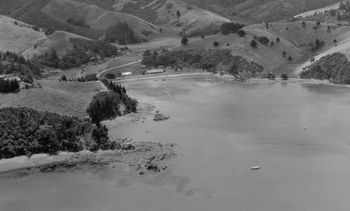 a pretty bare looking Tutukaka (Northland) in 1953
