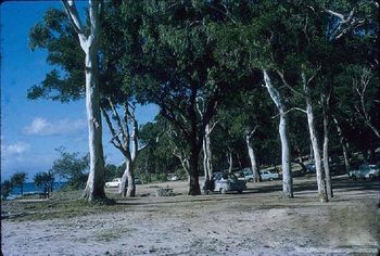 National Park...Noosa...summer of '68 how nice and mellow does that look...no parking meters..no Rangers..park where you like!!!....awesome days...
