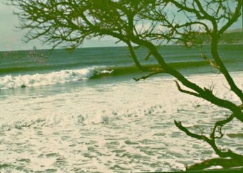 Ding Bay and that cranking left...summer of 1970 so nice when leg ropes and short boards came in...made it so much easier to surf this place.....before leg ropes we were never as adventurous ...cause when you lost your board ..it just got smashed!!!!
