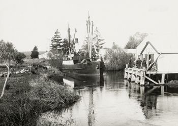 The 'Apanuiaa' ..(Northern Steam Ship vessel)... Negotiating up the Awanui river...'pretty impressive'...1930
