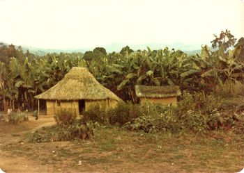 typical African.....mud hut
