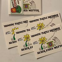 Hypnotic Turtle DreamBox Postcard Set 