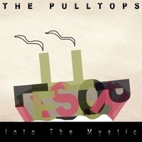 Into the Mystic by The Pulltops