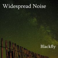Blackfly by Widespread Noise