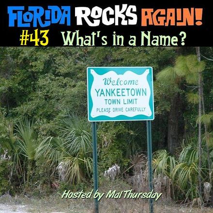 Florida Rocks Again! #43