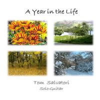 A Year in the Life by Tom Salvatori
