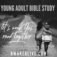 Awake and Alive Zoom Bible Study with Young Adults