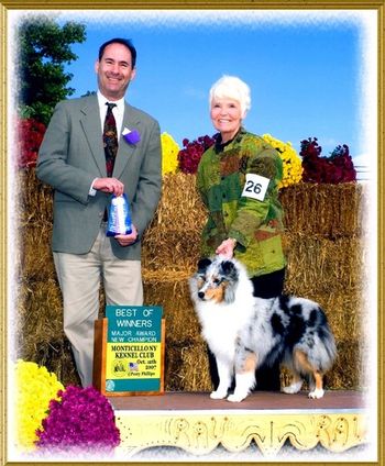 CH Willoglen Photo Finish ~Sophia Finished w/2nd Major Under Judge Robert Greitzer Oct 07!~ Expertly Handled by Sheila Monks !
