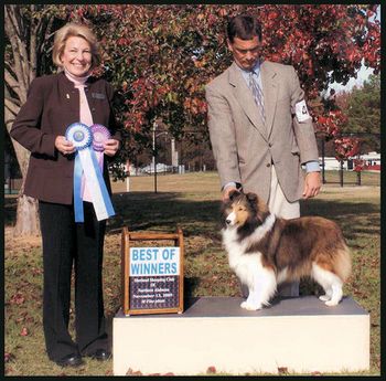 Phoebe gets 2 Pts Speciality Win Under Breeder/Judge Liz Bianchi in Alabama! Special thanks to Jeff Swinney for handling Phoebe to this win !
