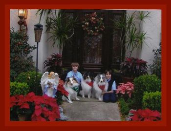 Loving Companions Zoey , Oreo & Jupiter Loved & Owned by the Alo Family
