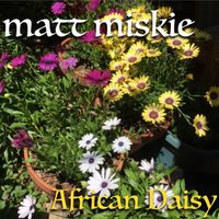 African Daisy (2021) by mattmiskie.com