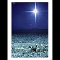 This is a Christmas song about the birth of Christ. Genre: Holiday: Folk Release Date: 2009 Buy now at CD Baby 
For sale at iTunes