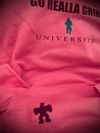 University Hoodie [pink]