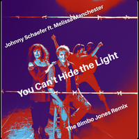 You can't Hide the Light-The Bimbo Jones Remixes by Johnny Schaefer t. Melissa Manchester