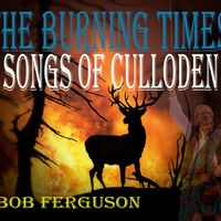 THE BURNING TIMES by bobfergusonsongwriter.com