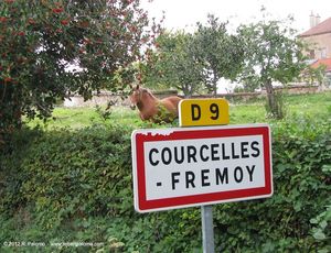 Entering Courcelles-Fremoy, France