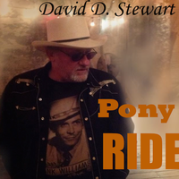 Pony Ride by David D. Stewart