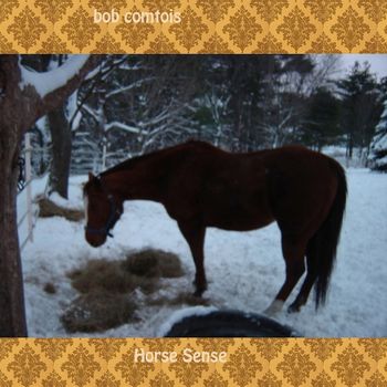 My second album release, Horse Sense
