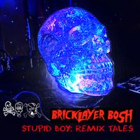 Stupid Boy: Remix Tales by Bricklayer Bosh