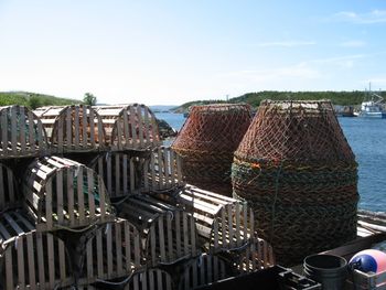 Lobster and Crab Traps Photo by Amy Sela Colbourne
