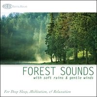 Forest Sounds with Soft Rains & Gentle Winds: Nature Sounds for Deep Sleep, Meditation & Relaxation by Rest & Relax Nature Sounds Artists