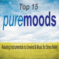 Top 15 Pure Moods: Relaxing Instrumentals to Unwind & Music for Stress Relief by Robbins Island Music Group