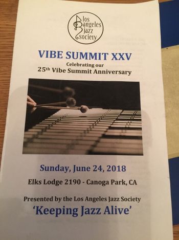 Cover of Vibe Summit Program My first participation.

