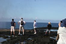 The Disney team observing the Blowholes