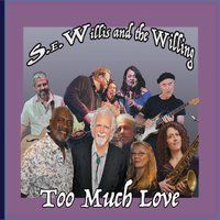 Too Much Love by S.E.Willis and the Willing