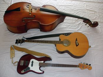 Fretless Electric Bass, Upright Bass, and Acoustic Bass Guitar
