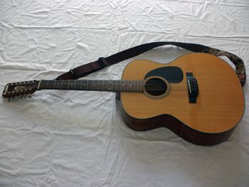 12-String Guitar
