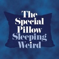 Sleeping Weird by The Special Pillow