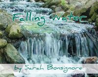 Falling Water - Orchestral Accompaniment WITH piano solo