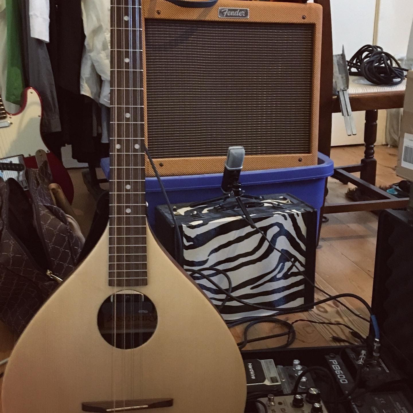 Here's a blog entry about an Irish Bouzouki Ian's Bouzouki Story...